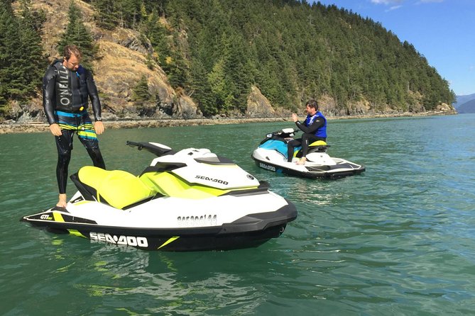 Vancouver Jet Ski Rental from Granville Island - Wildlife Spotlight at Pam Rocks (and How to Actually Spot It)