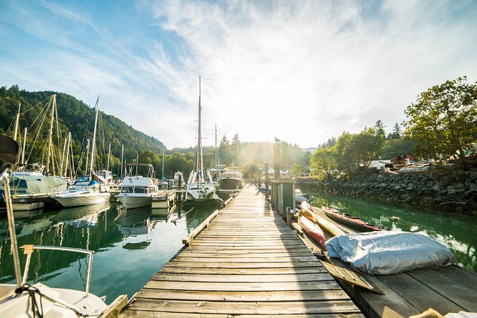 Vancouver Jetski Tour with Dinner on Bowen Island - Howe Sound and the seal-colony style wildlife stop you’ll remember