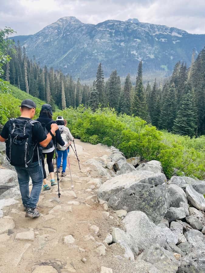 Vancouver: Joffre Lakes Park Hike and Whistler Day Trip - The 8 km out-and-back: Lower, Middle, and Upper Joffre Lakes