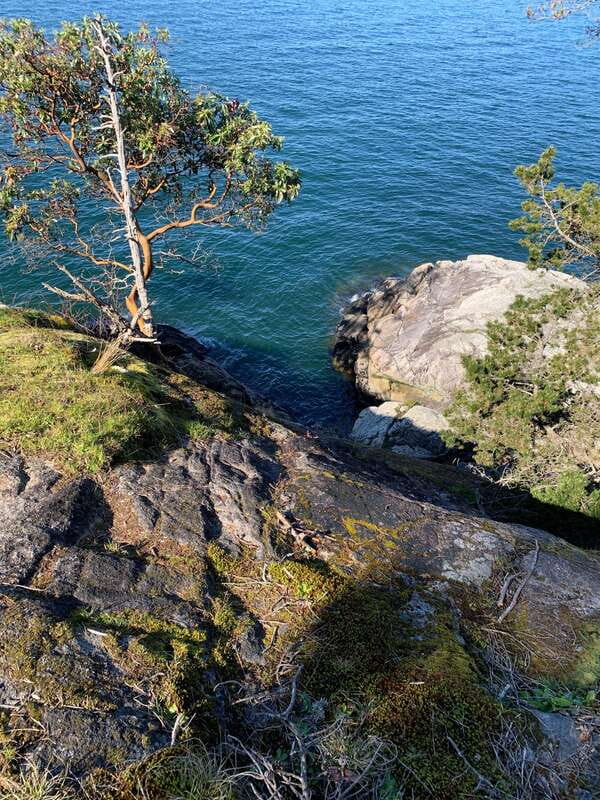 Vancouver: Lighthouse Park Hike - Doorstep Pickup to the Coast: Stanley Park and Lions Gate Bridge First