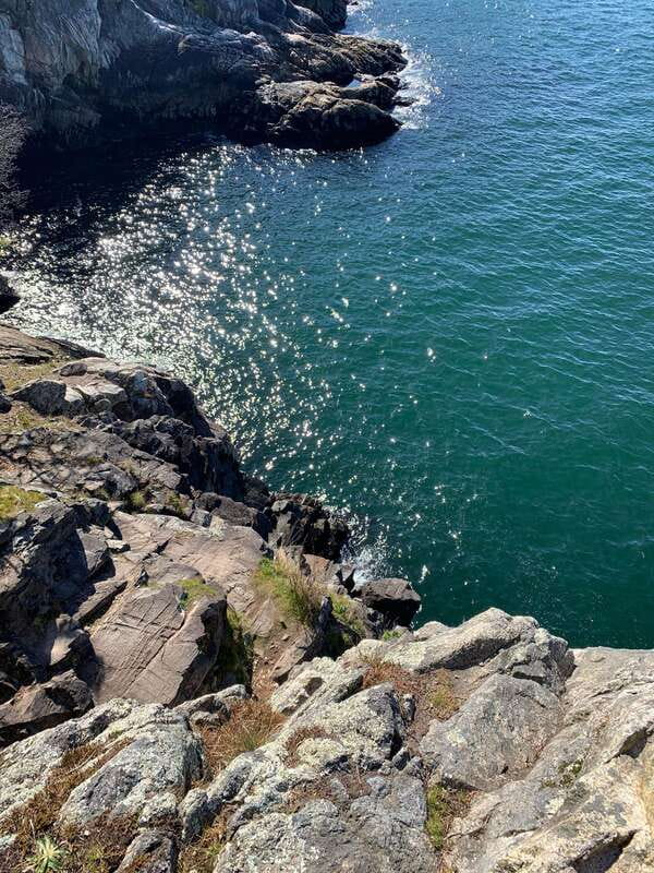 Vancouver: Lighthouse Park Hike - The 6km Hike Along the Water: What the Walk Is Really Like