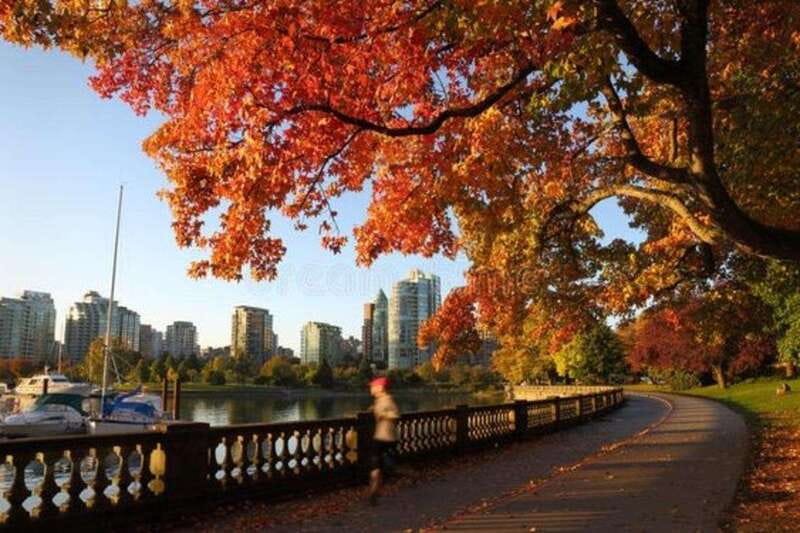 Vancouver : Must-See Attractions Walking Tour With A Guide - Key Highlights You’ll Feel Immediately