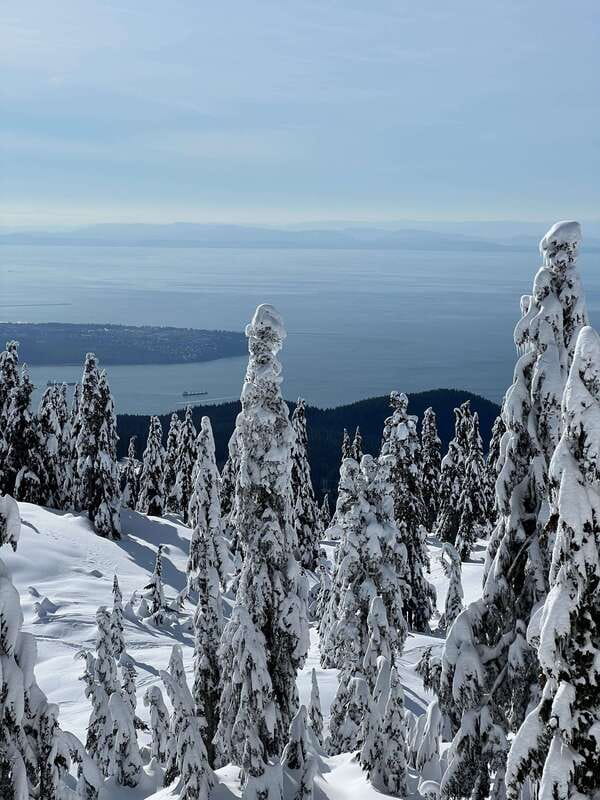 Vancouver: North Shore Mountains Snowshoeing with Transfer - Why Snowshoeing 20 Minutes From Downtown Feels Like a Secret Escape