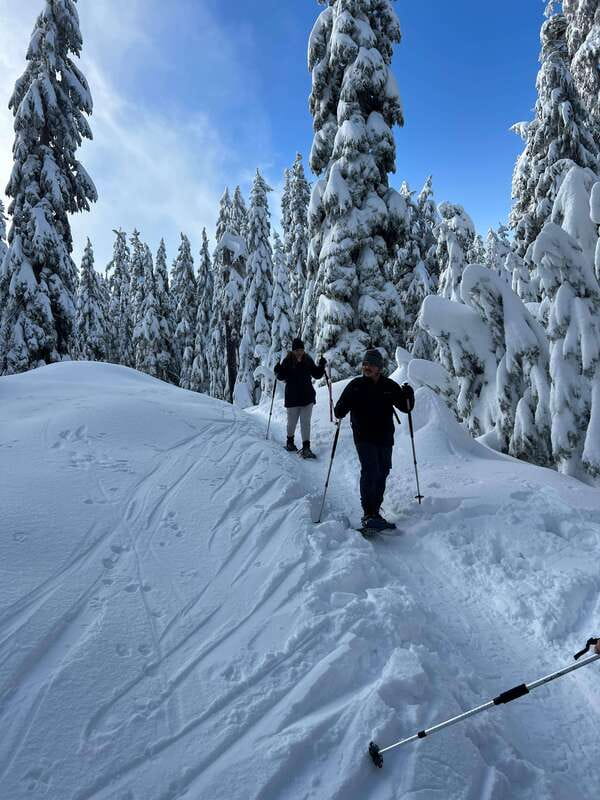 Vancouver: North Shore Mountains Snowshoeing with Transfer - Door-to-Door Transfer: The Quiet Convenience You’ll Actually Appreciate