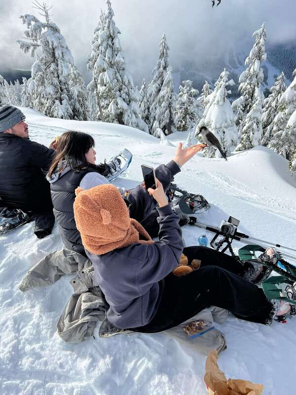 Vancouver: North Shore Mountains Snowshoeing with Transfer - The Trail: Sub-Alpine Meadows to Snowy Forests