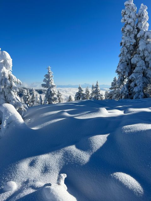 Vancouver: North Shore Mountains Snowshoeing with Transfer - Views of Vancouver: The Part You’ll Want to Slow Down For