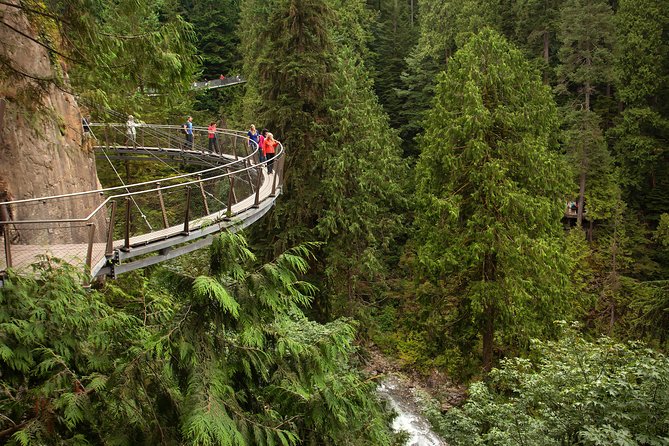 Vancouver Premium Tour: Capilano Bridge + Grouse Mountain Lunch - Grouse Mountain Skyride: going up by gondola and getting time to look around