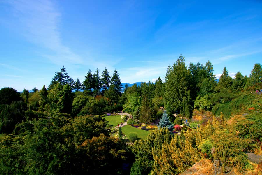 Vancouver: Private City Sights Tour by Minibus (3hrs) - Queen Elizabeth Park: Quarry Garden and Rose Garden Stroll Time