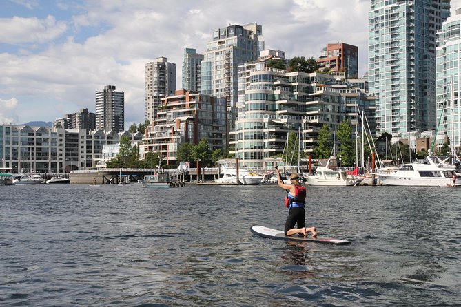 Vancouver Private Tour - Stanley Park: big scenery explained so it means something