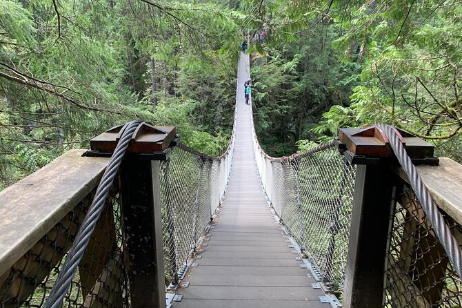 Vancouver Rainforest Hike with Waterfalls, Suspension Bridge, Old Growth Forest - Why the Lynn Canyon rainforest fits your schedule