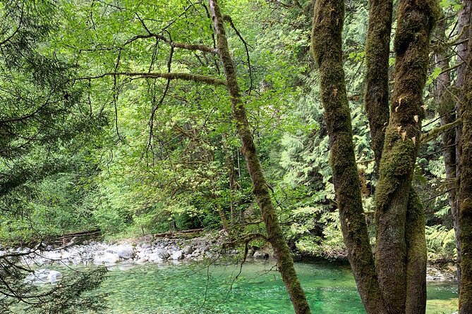 Vancouver Rainforest Hike with Waterfalls, Suspension Bridge, Old Growth Forest - Stop 2: Twin Falls, the bridge over the falls, and old-growth forest