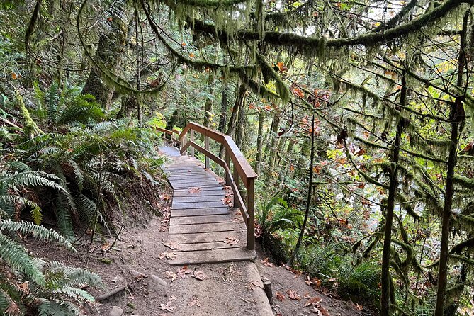 Vancouver Rainforest Hike with Waterfalls, Suspension Bridge, Old Growth Forest - Lions Gate Bridge: the quick Vancouver landmark moment