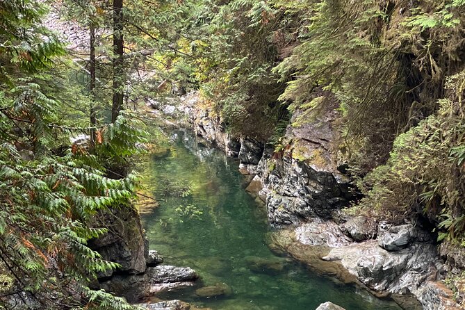 Vancouver Rainforest Hike with Waterfalls, Suspension Bridge, Old Growth Forest - The stairs reality check (and how to handle it)