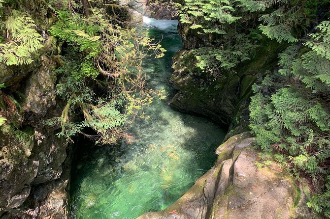 Vancouver Rainforest Hike with Waterfalls, Suspension Bridge, Old Growth Forest - Wildlife and that “close to the ecosystem” feeling