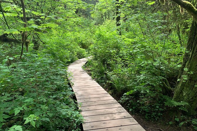Vancouver Rainforest Hike with Waterfalls, Suspension Bridge, Old Growth Forest - Stop 1: Lynn Canyon Suspension Bridge and canyon-creek views