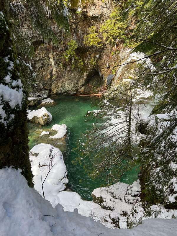 Vancouver: Rainforest Waterfall Hike and Suspension Bridge - Quick highlights you’ll actually use