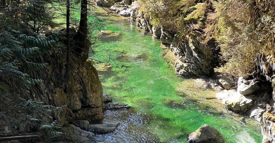 Vancouver: Rainforest Waterfall Hike and Suspension Bridge - Who this hike is best for (and who should pick another option)