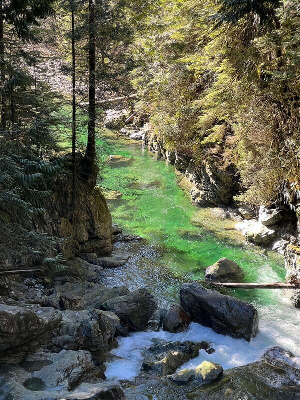 Vancouver: Rainforest Waterfall Hike and Suspension Bridge - The 9km walk: waterfalls, crystal-clear pools, and a creek you’ll want to linger at
