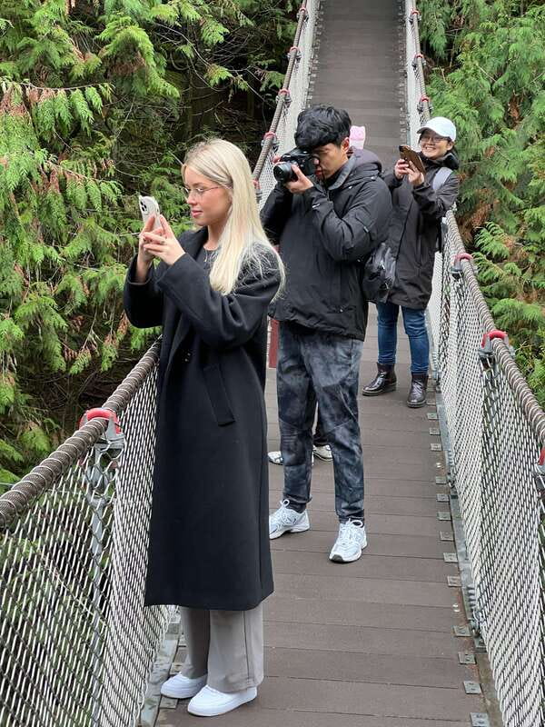 Vancouver: Rainforest Waterfall Hike and Suspension Bridge - Crossing the suspension bridge: safe thrills and how to manage the nerves