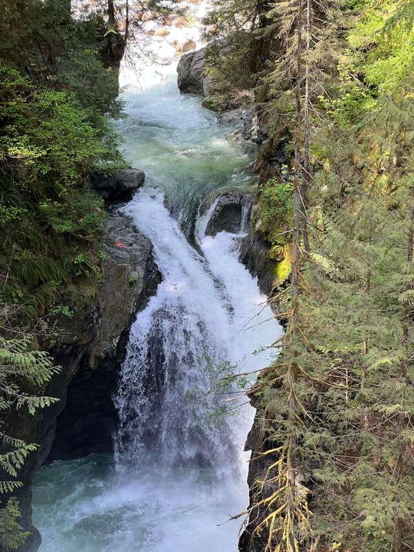 Vancouver: Rainforest Waterfall Hike and Suspension Bridge - Rainy-day flexibility: what happens when Vancouver brings downpours