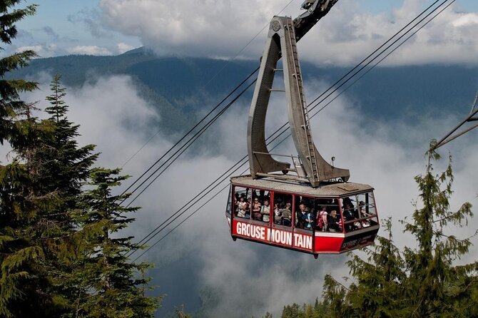 Vancouver's Finest Private Sightseeing Tour - Capilano Suspension Bridge Park: The Forest-Air Moment and the Height Factor