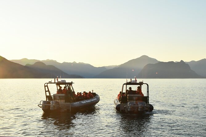 Vancouver's Intimate West Coast Whale Watching Experience - Who should book this whale watch (and who should think twice)
