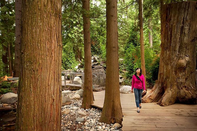Vancouver Sightseeing and Suspension Bridge Small Group Tour - Getting your bearings fast in Downtown Vancouver