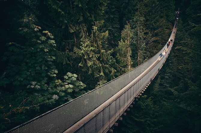Vancouver Small Group Night Tour w/Capilano + Grouse Mtn Dinner - Group size, guides, and the comfort question