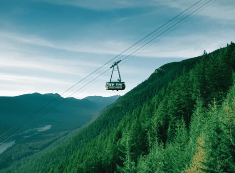 Vancouver: Small Group Tour w/Capilano & Grouse Mtn Lunch - Vancouver Lookout: the 553-foot 360-degree finish