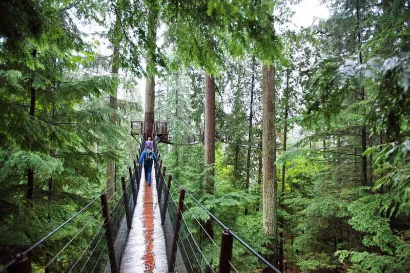Vancouver: Small Group Tour w/Capilano & Grouse Mtn Lunch - Price and value check: is $291 fair for what you get?