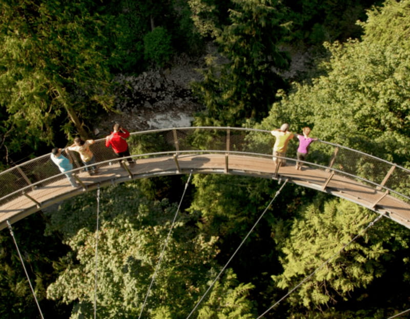 Vancouver: Small Group Tour w/Capilano & Grouse Mtn Lunch - Who should book this Capilano and Grouse highlight tour