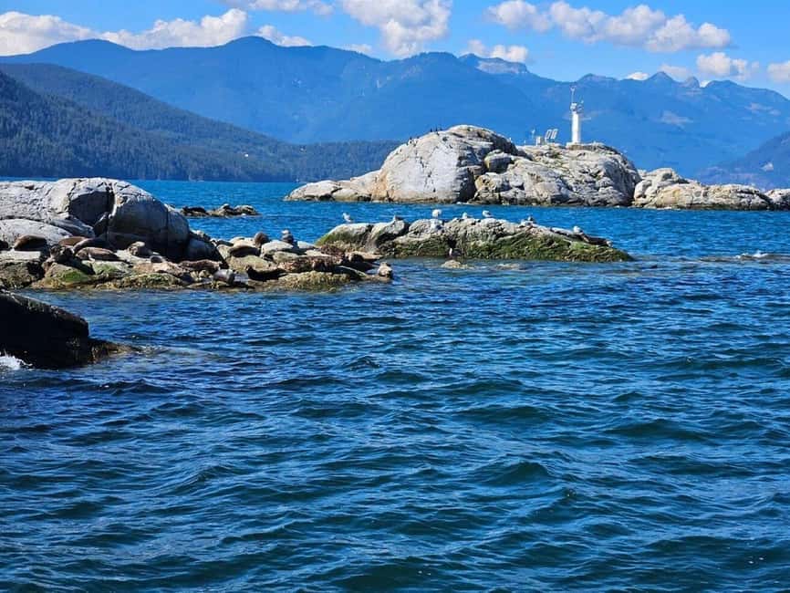 Vancouver: Snorkel, Kayak, and Seal Adventure Boat Tour - Howe Sound seals at Pam Rocks: what makes it feel real