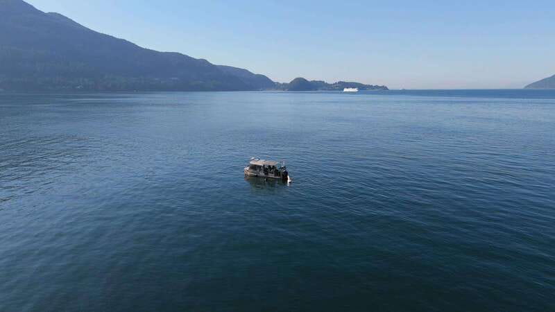 Vancouver: Snorkeling Seals Kayaking Scenic Boat Tour - If you skip the water: kayaking and paddleboarding for the same views