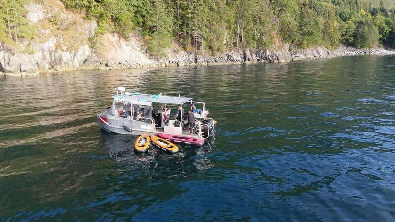 Vancouver: Snorkeling Seals Kayaking Scenic Boat Tour - How the guide makes it better (Katie, Victor, Vincent)