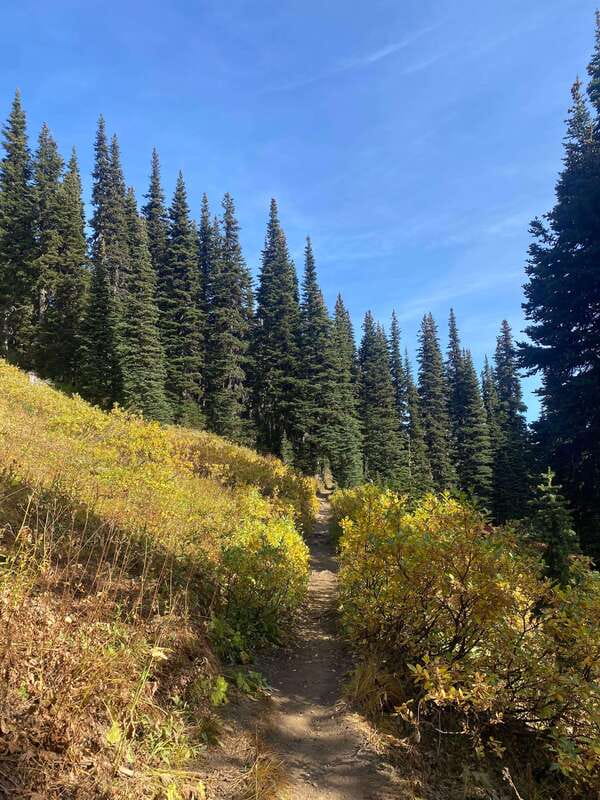 Vancouver/Squamish: Garibaldi Park Panorama Ridge Hike - Key things that make this Panorama Ridge day worth it