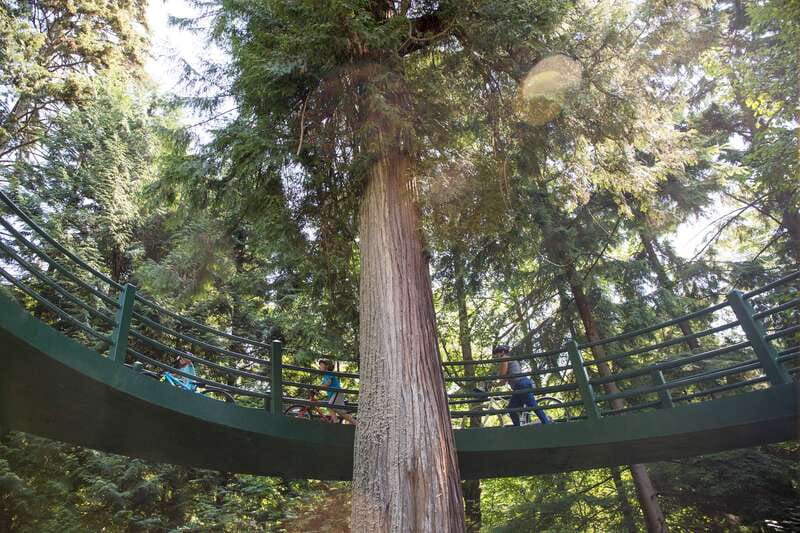 Vancouver: Stanley Park Bicycle Tour - Why cycling Stanley Park is better than rushing it on foot