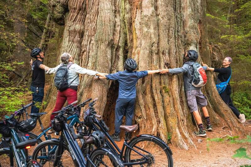 Vancouver: Stanley Park Bicycle Tour - A smooth warm-up: West End and English Bay before the real park
