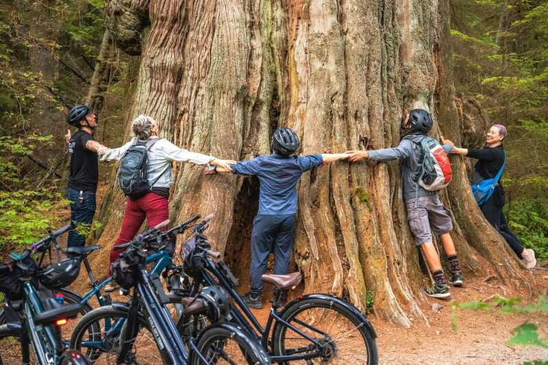 Vancouver: Stanley Park Bicycle Tour - How long is the ride, and what effort level should you expect?