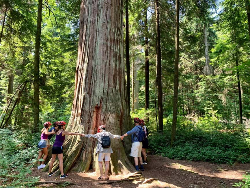 Vancouver: Stanley Park Bike Tour | E-Bike Upgrade Avail. - Key Things I’d Pack on Your Radar