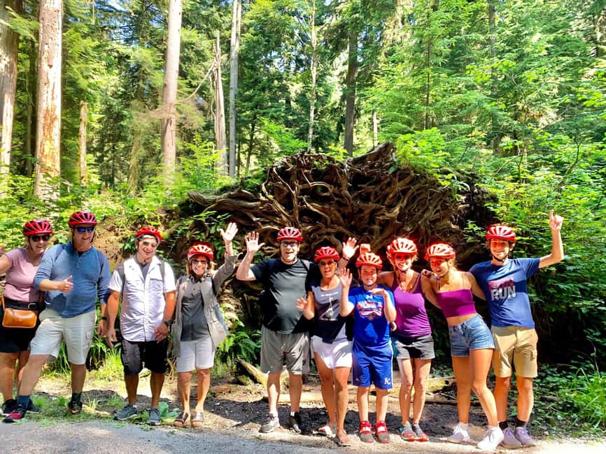 Vancouver: Stanley Park Bike Tour | E-Bike Upgrade Avail. - E-Bike Upgrade: Worth the Extra Cost If You Want It Easy
