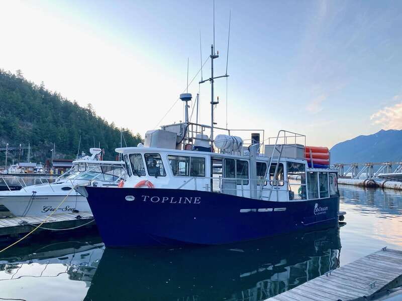 Vancouver: Sunset Boat Cruise with Complementary Bubbly - The cruise itself: upper-deck viewing and the pacing you want