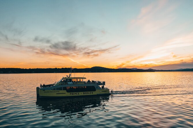 Vancouver Sunset Whale Watching Adventure with Free Photos - The catamaran setup: heated cabin, open decks, and where you’ll want to stand