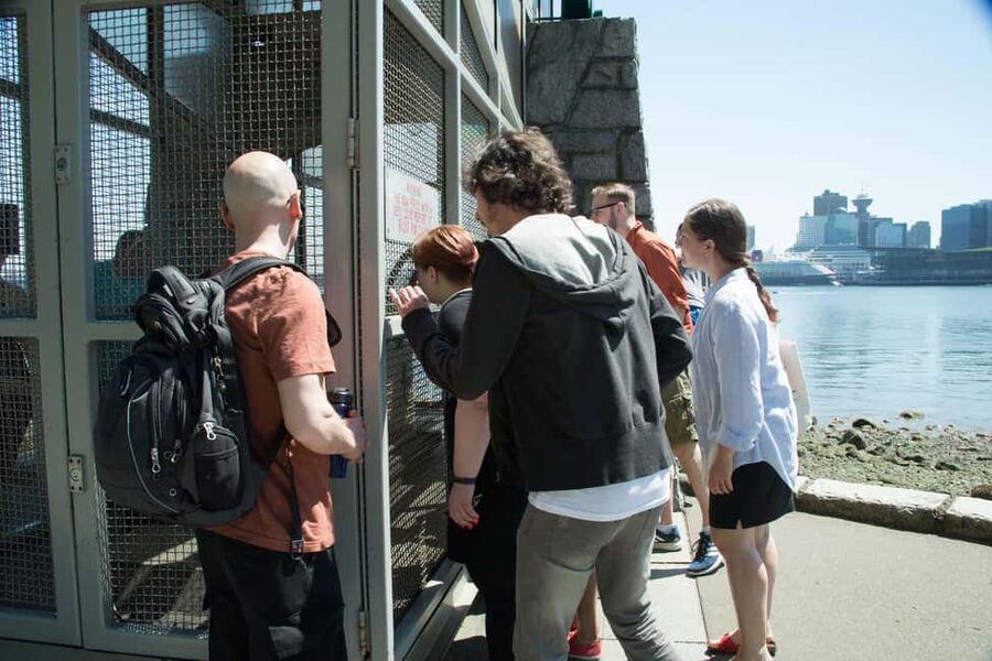 Vancouver: The Dark Secrets of Stanley Park Tour - Totem poles and seawall viewpoints: the famous parts get sharper