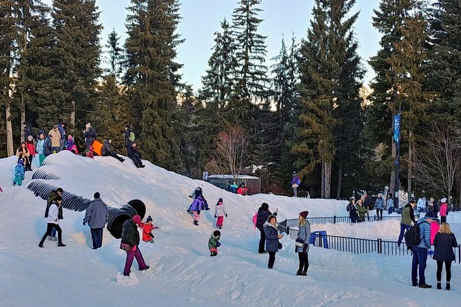Vancouver to Whistler Private Tour - The Sea-to-Sky Drive: Why Private Timing Matters