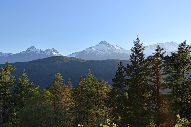 Vancouver to Whistler Private Tour - Whistler for Four Hours: Olympic Village, Alpine Walking, and Peak2Peak Decisions