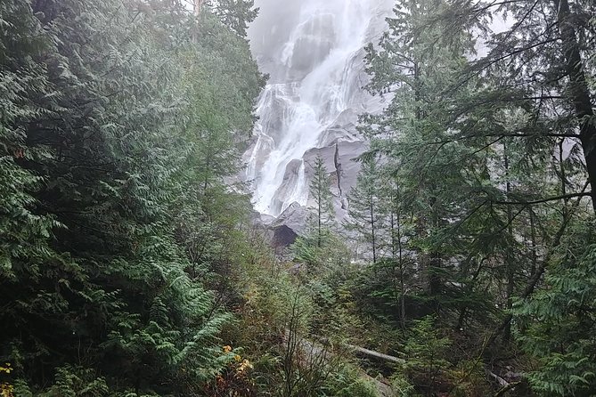 Vancouver to Whistler Private Tour - Price and Value: What $506.96 Buys You