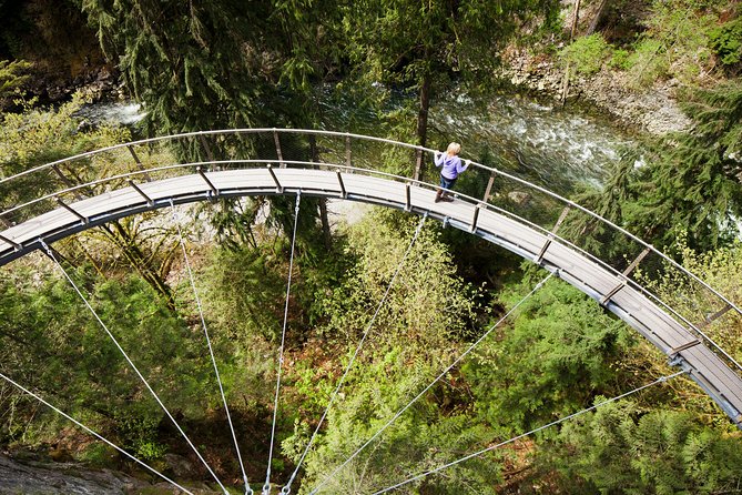 Vancouver Tour: Stanley Park, Granville Island & Capilano Bridge - Stanley Park: Old-Growth Views Without the Full-Day Commitment