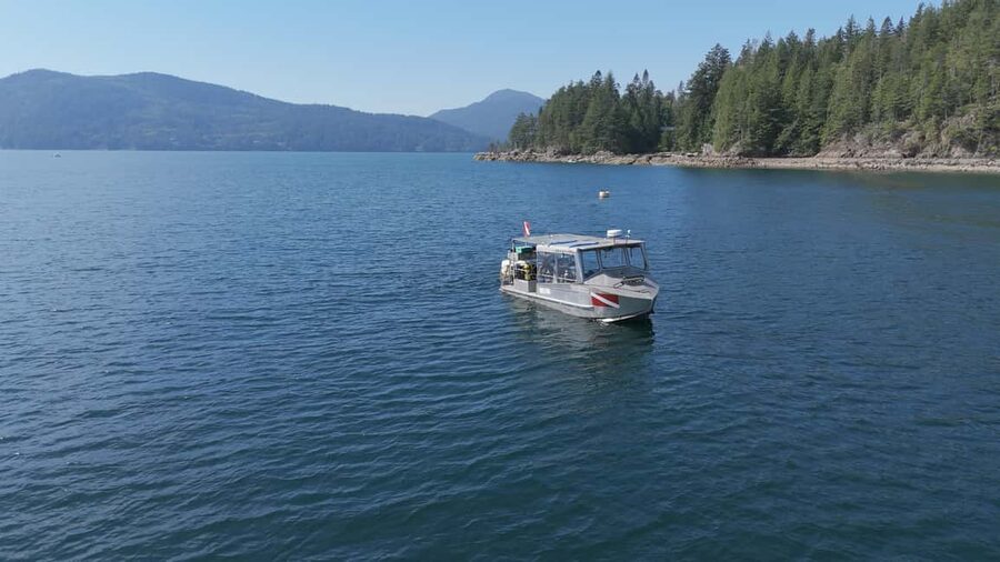 Vancouver UNESCO Biosphere Reserve Wildlife Scenic Boat Tour - Why Howe Sound Works So Well for a Wildlife Tour