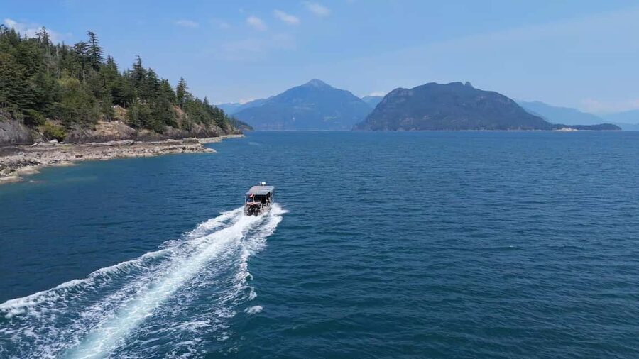 Vancouver UNESCO Biosphere Reserve Wildlife Scenic Boat Tour - Small-Group Boat Comfort at PNW Expeditions