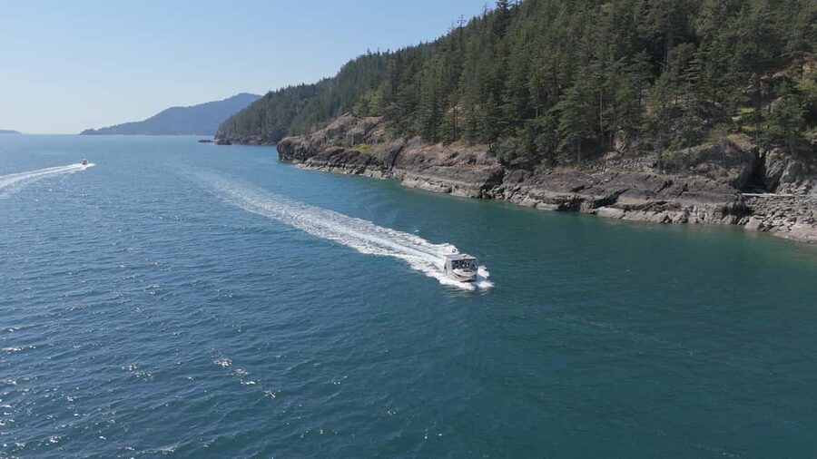 Vancouver UNESCO Biosphere Reserve Wildlife Scenic Boat Tour - Photo Tips That Make a Real Difference